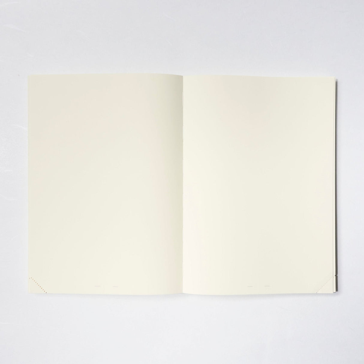 MD Notebook Journal A5 1 Day 1 Page / Midori DESIGNPHIL - bungu