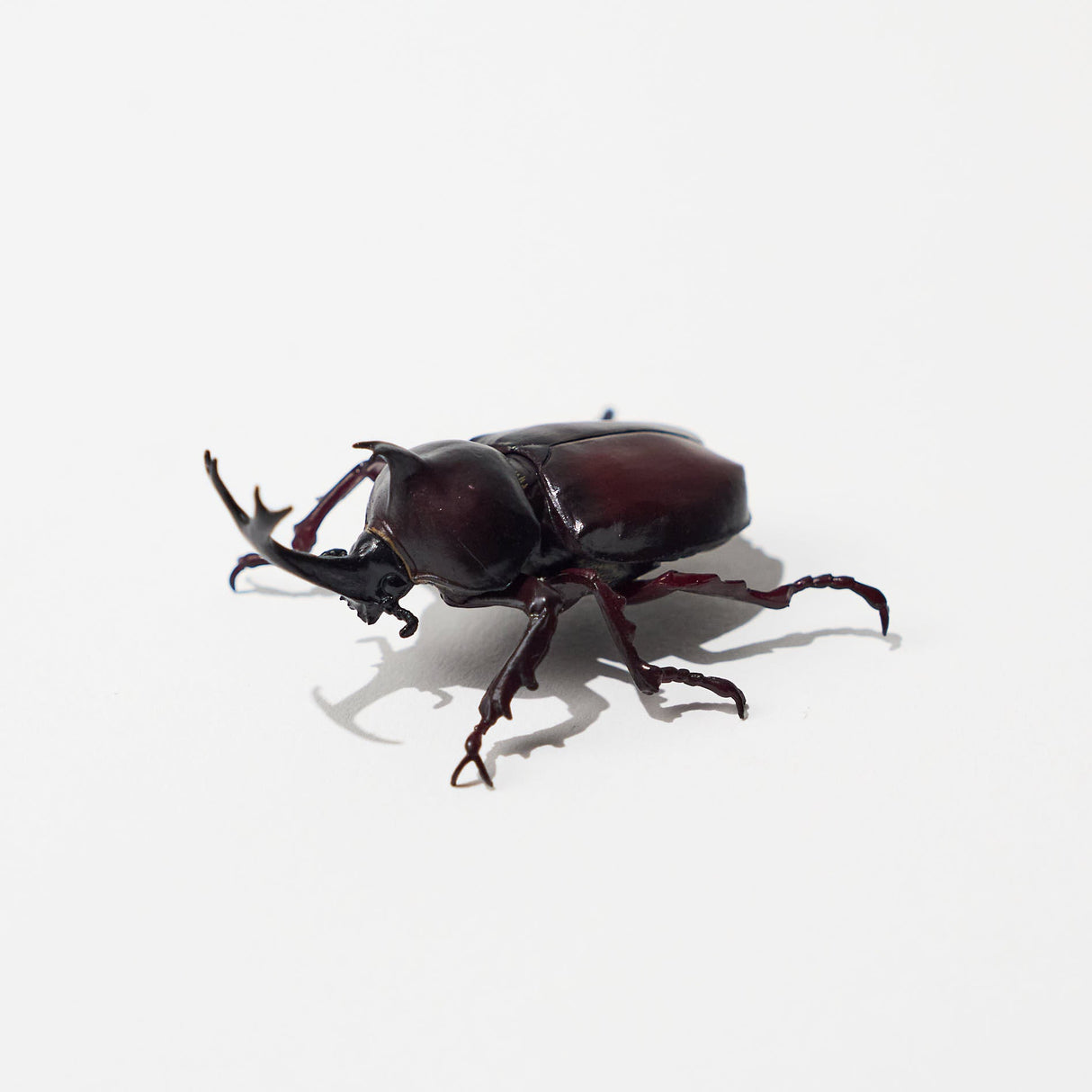 Nature of Japan Japanese Creatures 2 Gacha Capsule - bungu