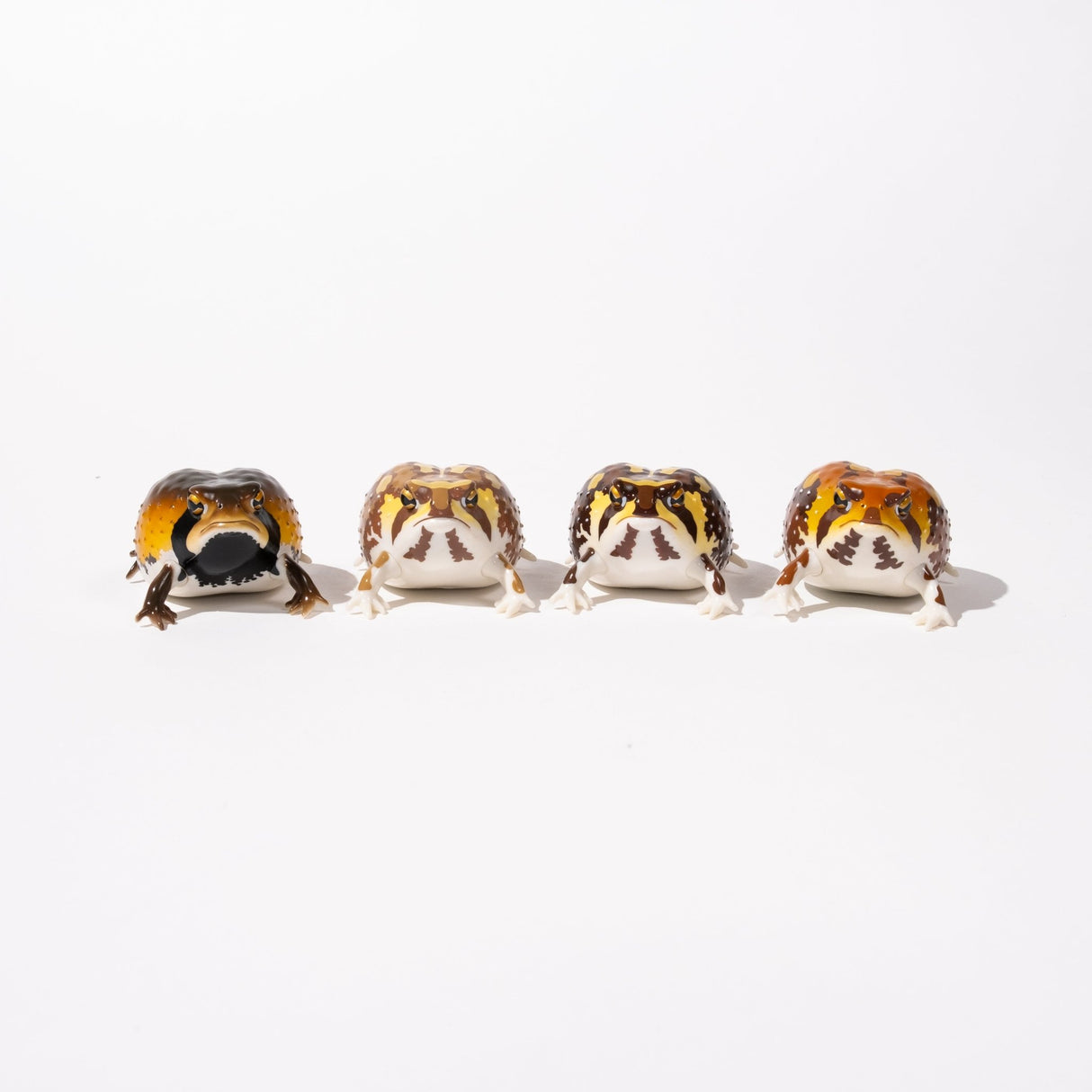 NTC Glossy - Skinned Chubby Frogs Gacha Capsule - bungu