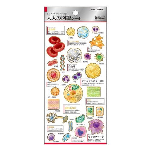 Otona Collection Nature and Animals Stickers / Kamio Japan - bungu