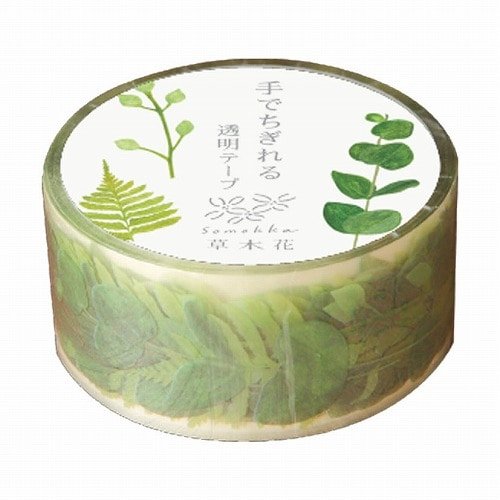 Plants and Flowers Clear Masking Tape / RYU - RYU - bungu