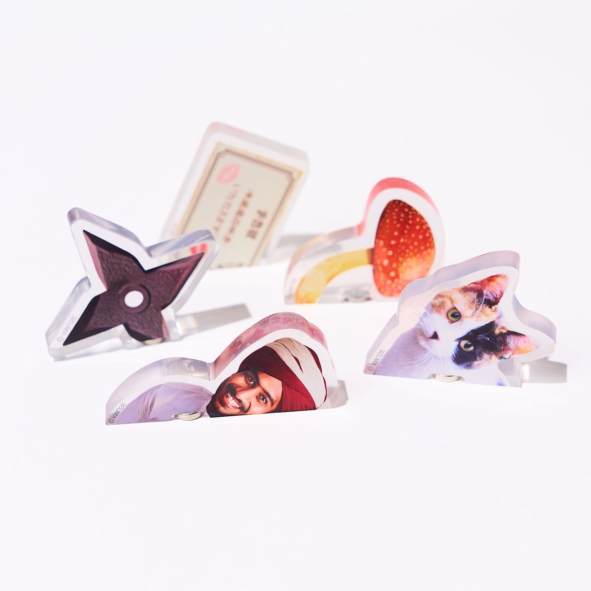 Popping Surprise Magnets Gacha Capsule - bungu