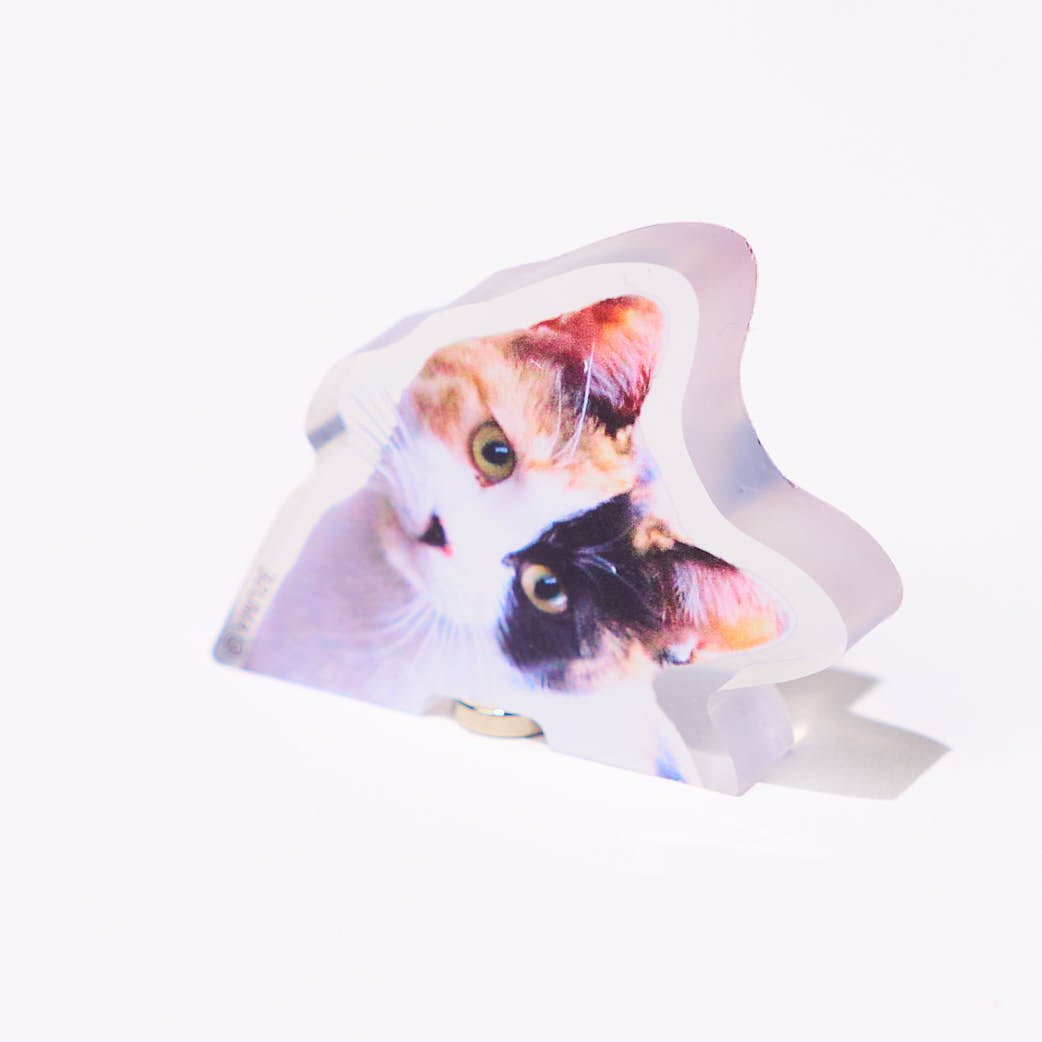 Popping Surprise Magnets Gacha Capsule - bungu