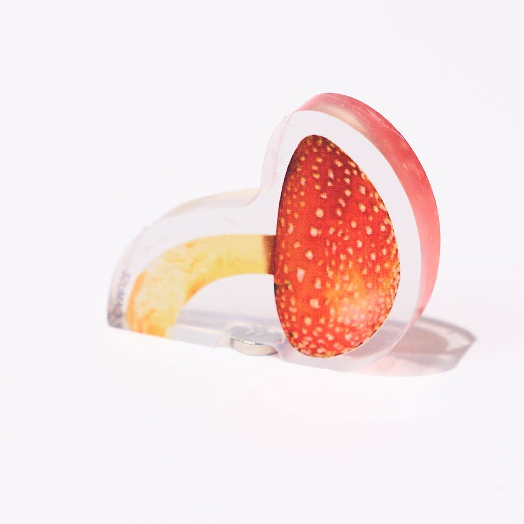 Popping Surprise Magnets Gacha Capsule - bungu