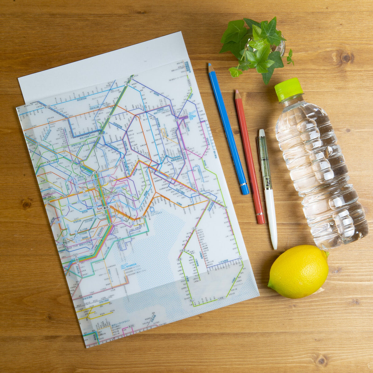 Railway Route Map Clear File Metropolitan Area / Tokyo Cartographic - bungu