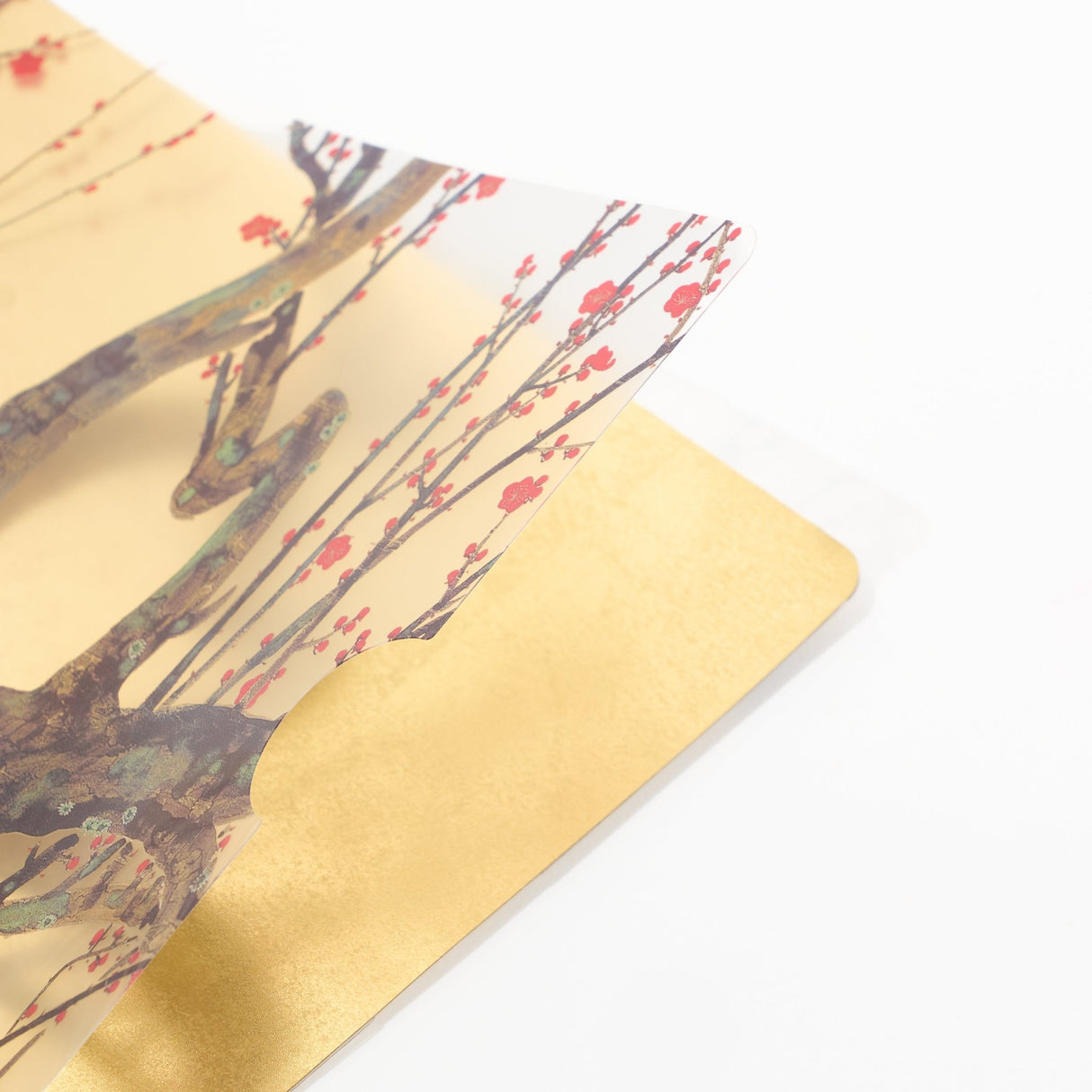 Red and White Plum Blossoms Gold Leaf A4 Clear File / Benrido - bungu