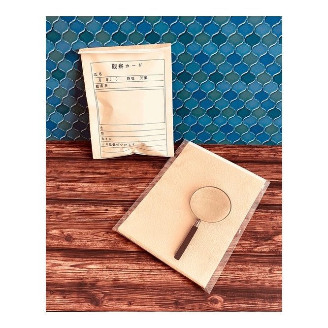 Retro Flat Paper Bags 10 - Pack / Kinokosya - bungu