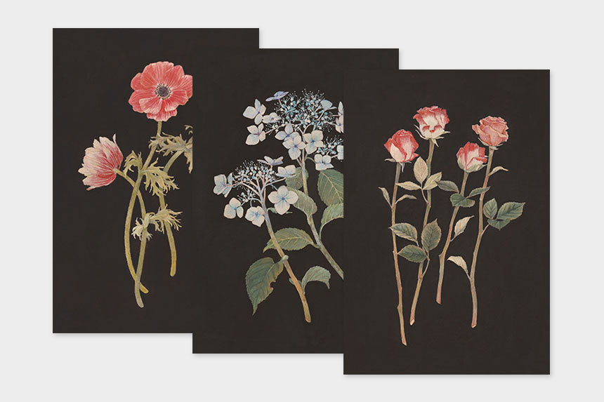 Art Touch Sasaki Megumi Floral Postcards / TOUCH & FLOW