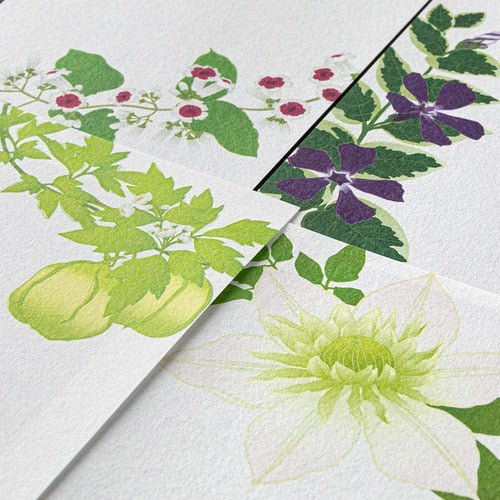 Seasons Silk - Print Envelope Letter Paper / Midori DESIGNPHIL - bungu