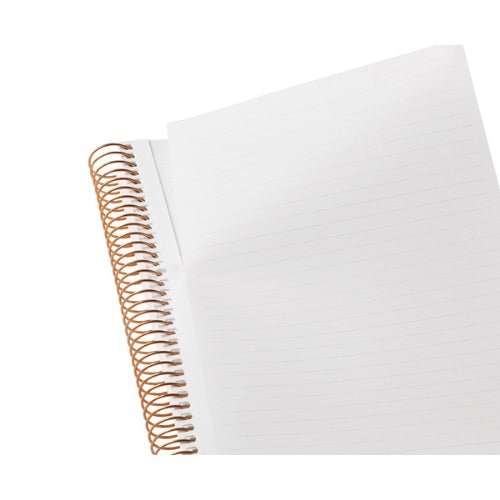 Spiral Notebook Basic 150 Pages / Maruman - bungu