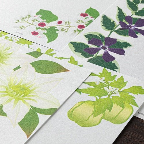 Spring Letter Paper Pad / Midori DESIGNPHIL - bungu