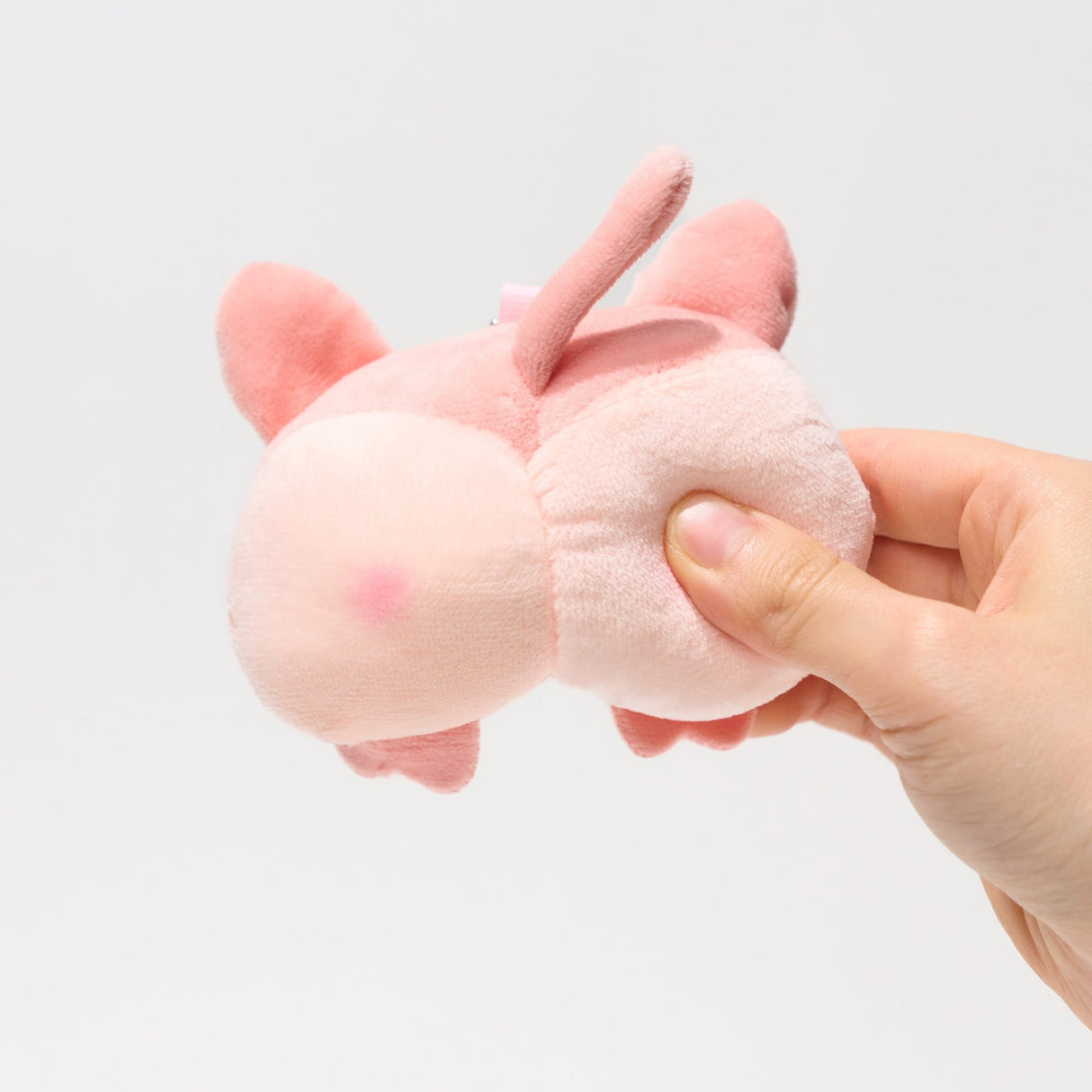 Squishy Animal Butt Plushies Gacha Capsule - bungu