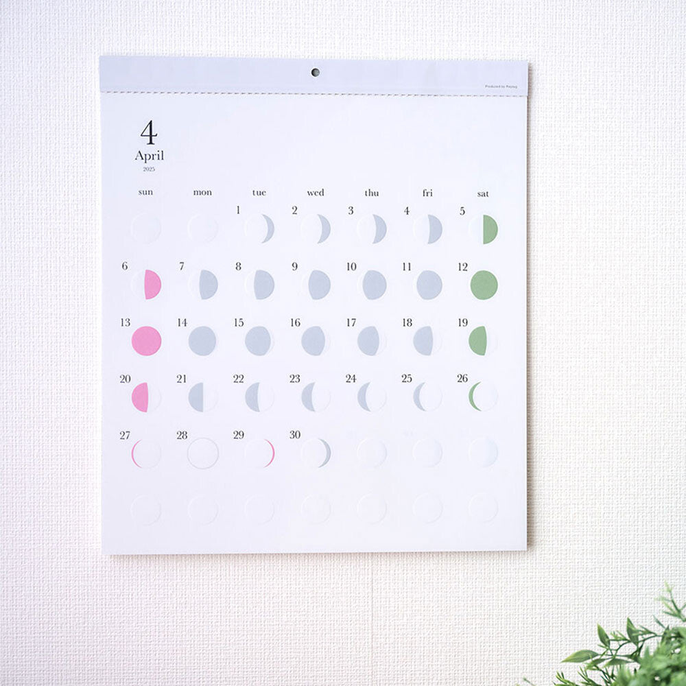 Michiru Moon Phase Wall Calendar 2027 / Replug