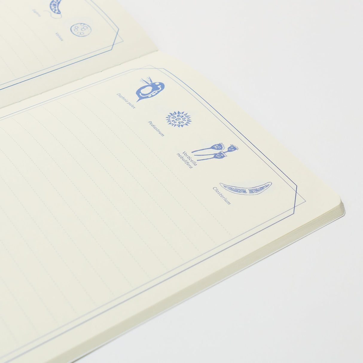 STUDY HOLIC A5 Notebook / GreenFlash - bungu