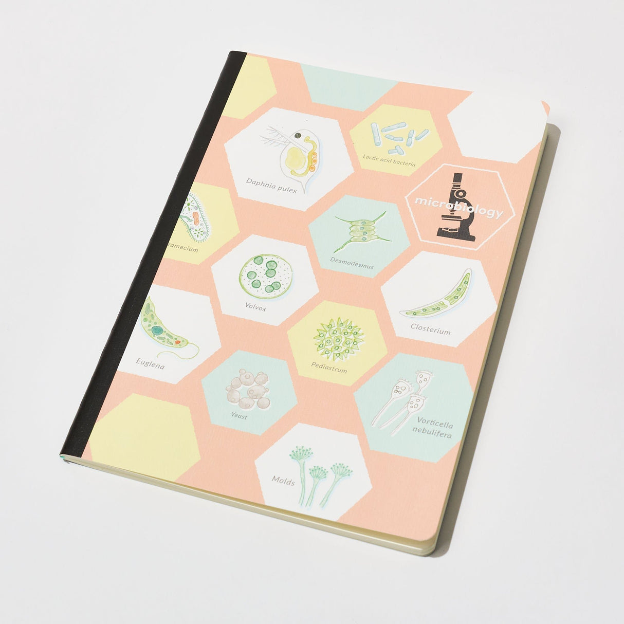 STUDY HOLIC A5 Notebook / GreenFlash - bungu