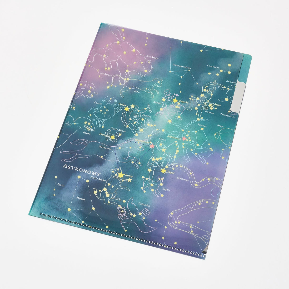 STUDY HOLIC A5 Pocket Clear File Folder / GreenFlash - bungu