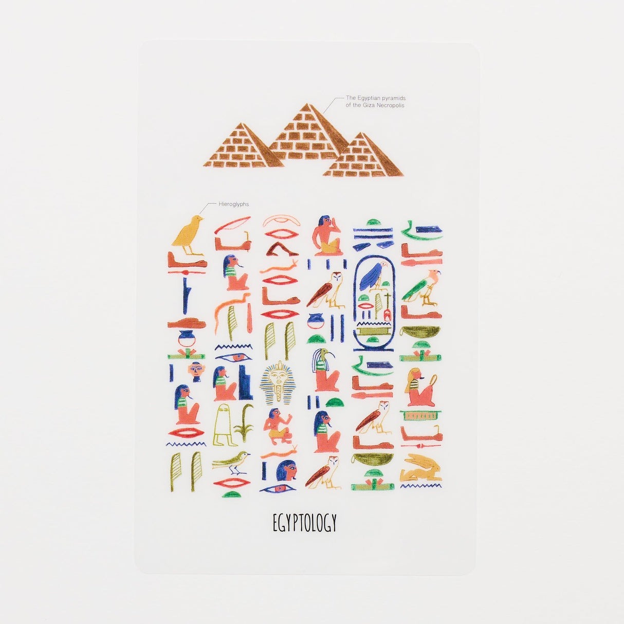 STUDY HOLIC Clear Bookmark / GreenFlash - bungu