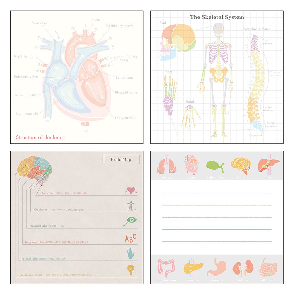 STUDY HOLIC Memo Pad Square / GreenFlash - bungu