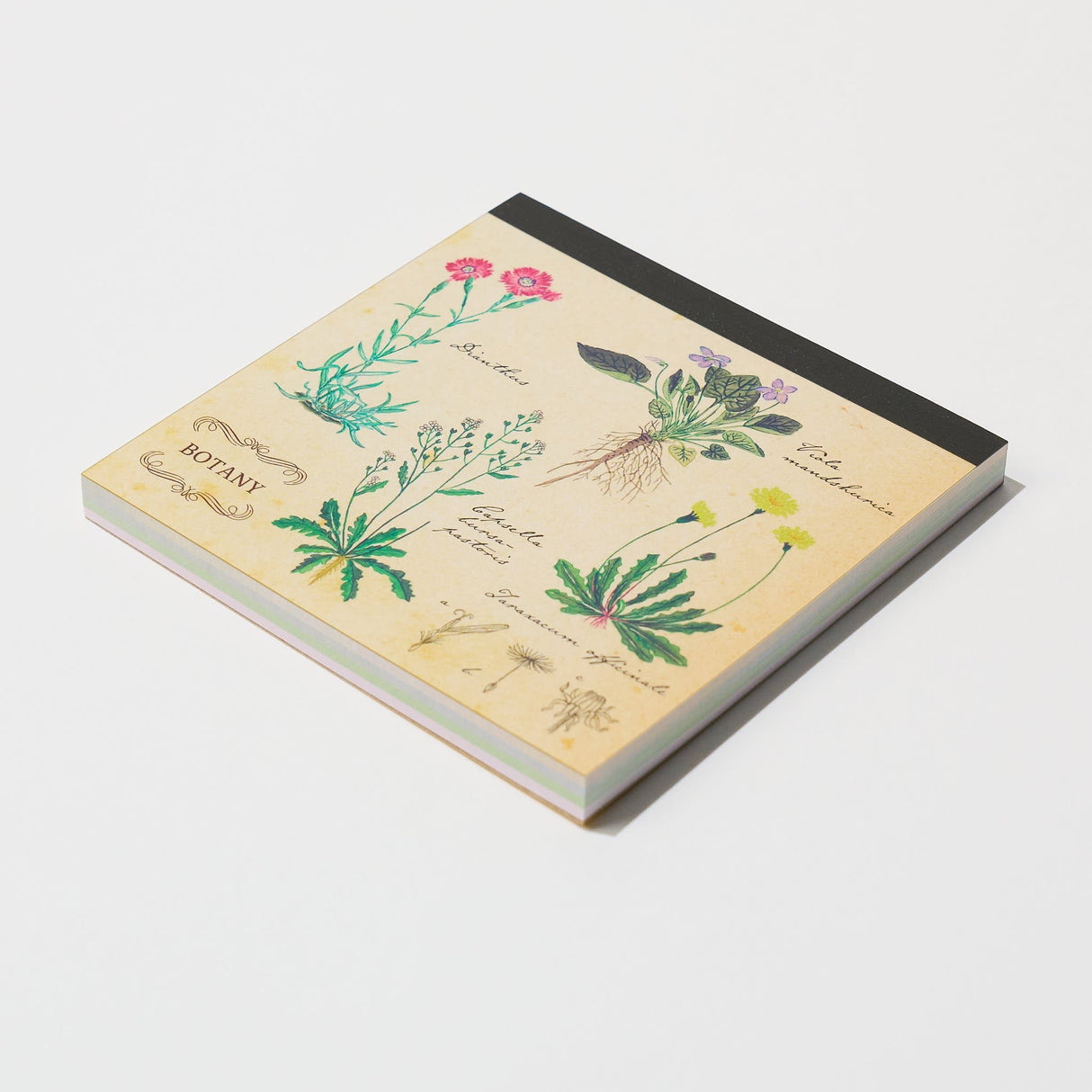 STUDY HOLIC Memo Pad Square / GreenFlash - bungu