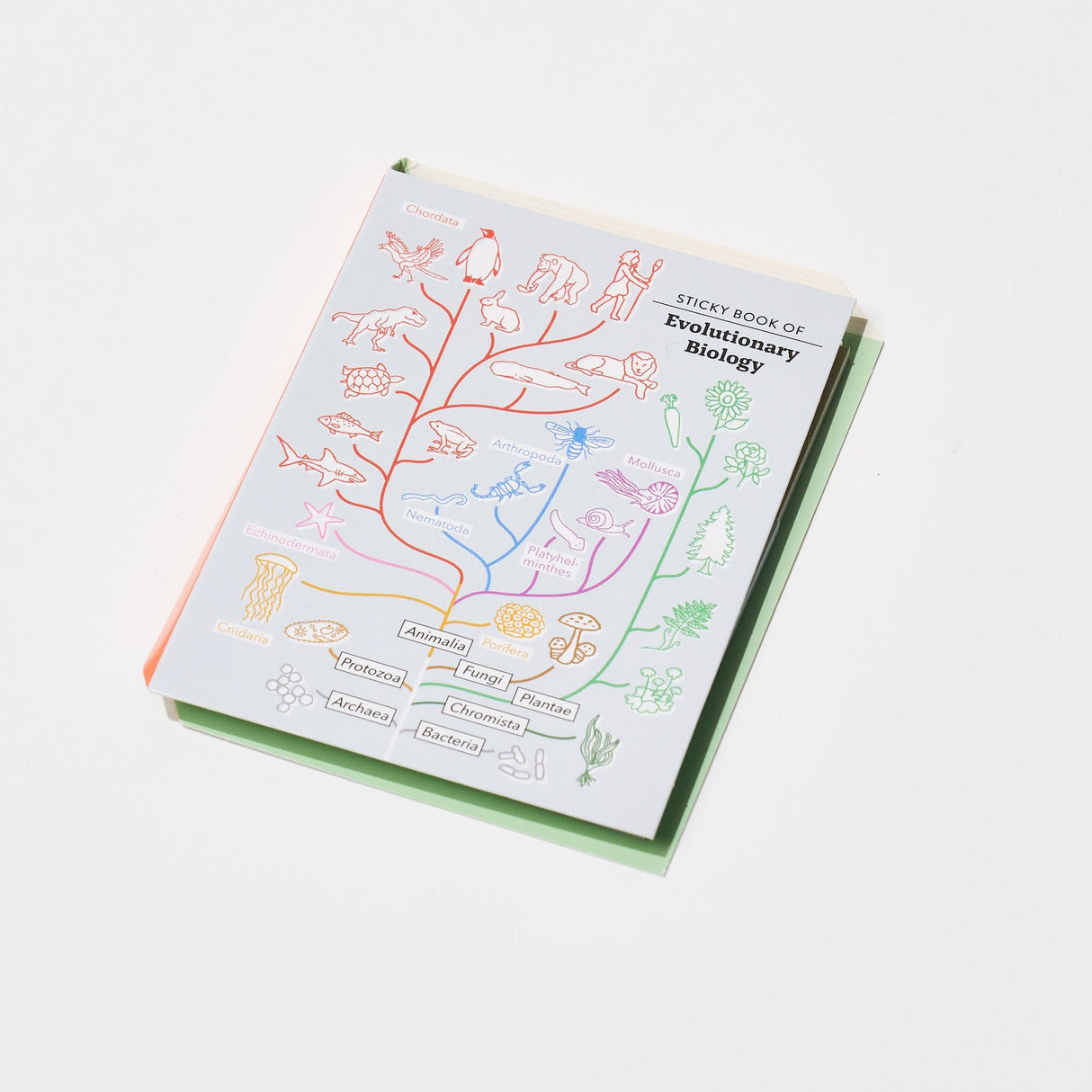 STUDY HOLIC Sticky Note Book / GreenFlash - bungu