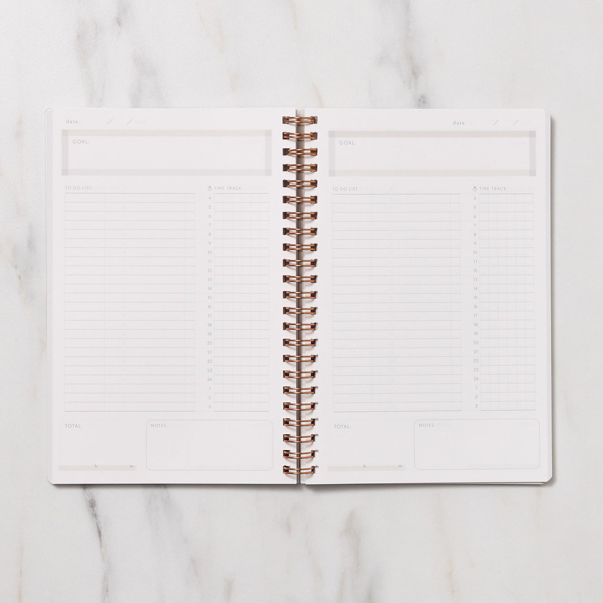 STUDY PLANNER DIARY A5 Ring Type Notebook / Iroha - bungu