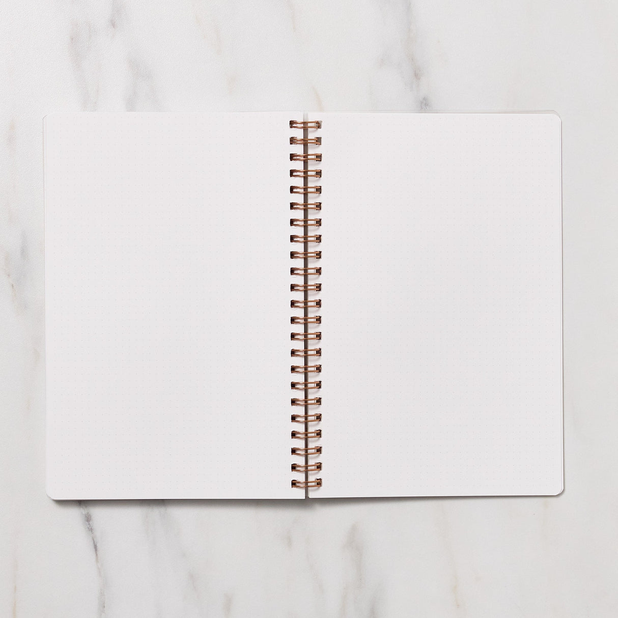 STUDY PLANNER DIARY A5 Ring Type Notebook / Iroha - bungu