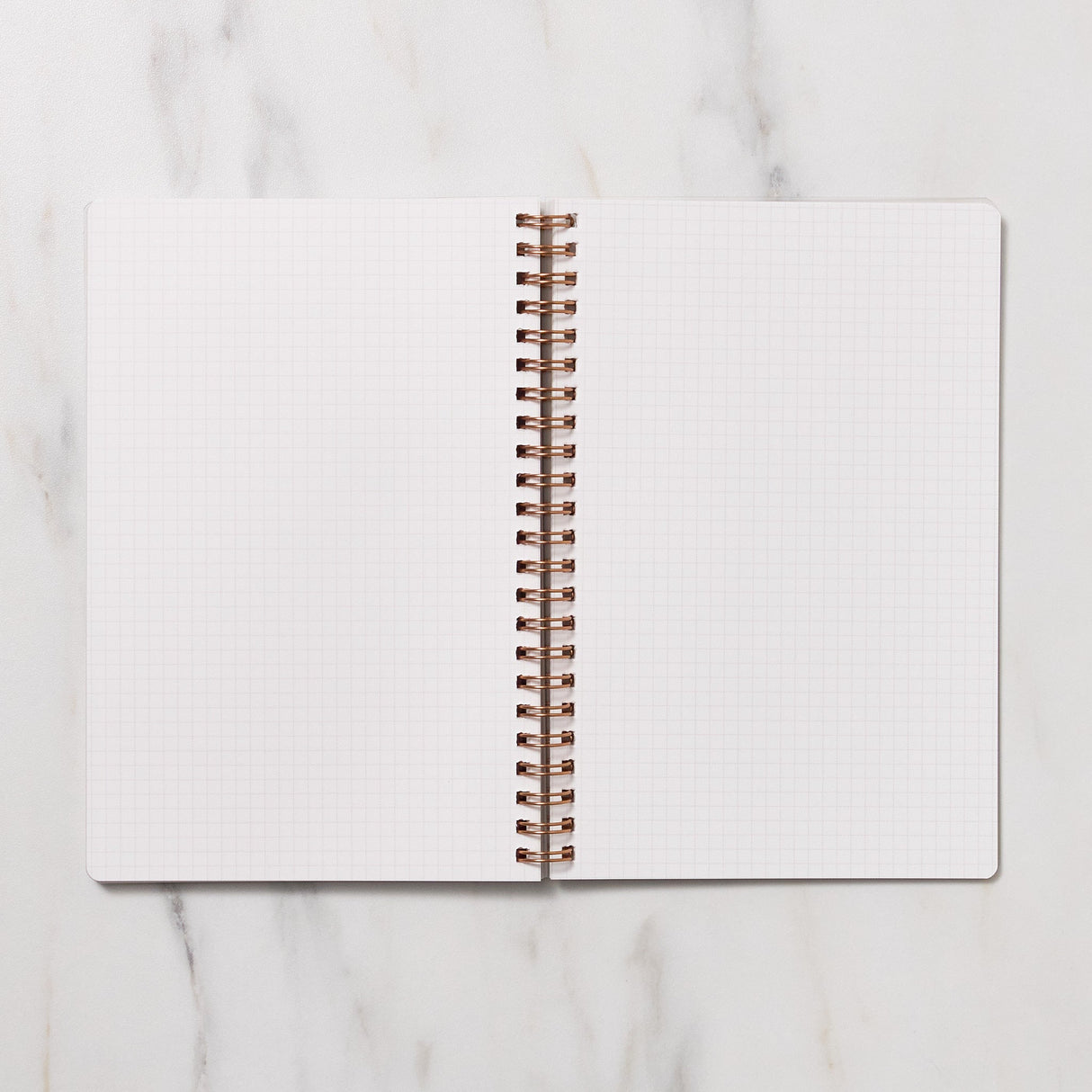 STUDY PLANNER DIARY A5 Ring Type Notebook / Iroha - bungu