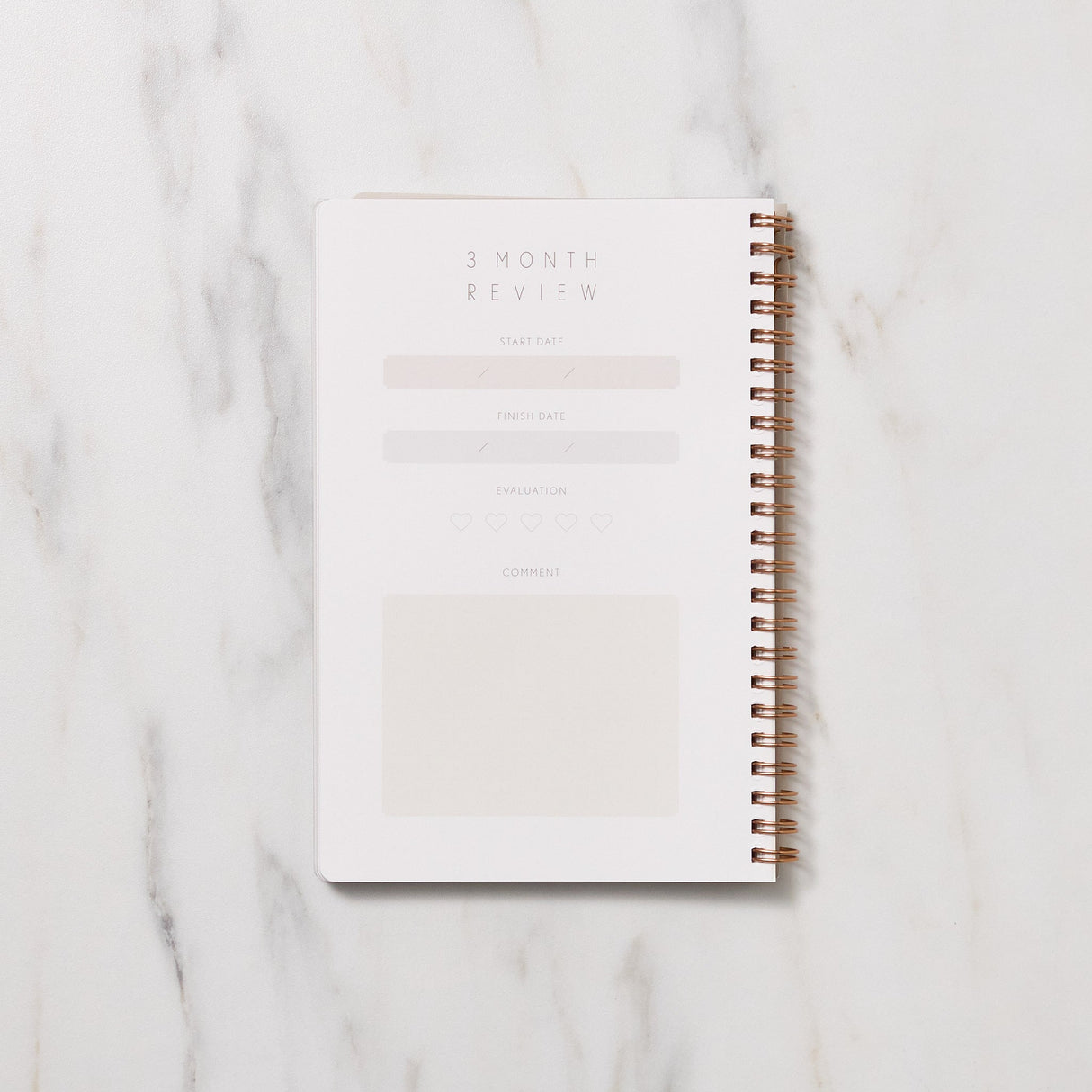 STUDY PLANNER DIARY A5 Ring Type Notebook / Iroha - bungu