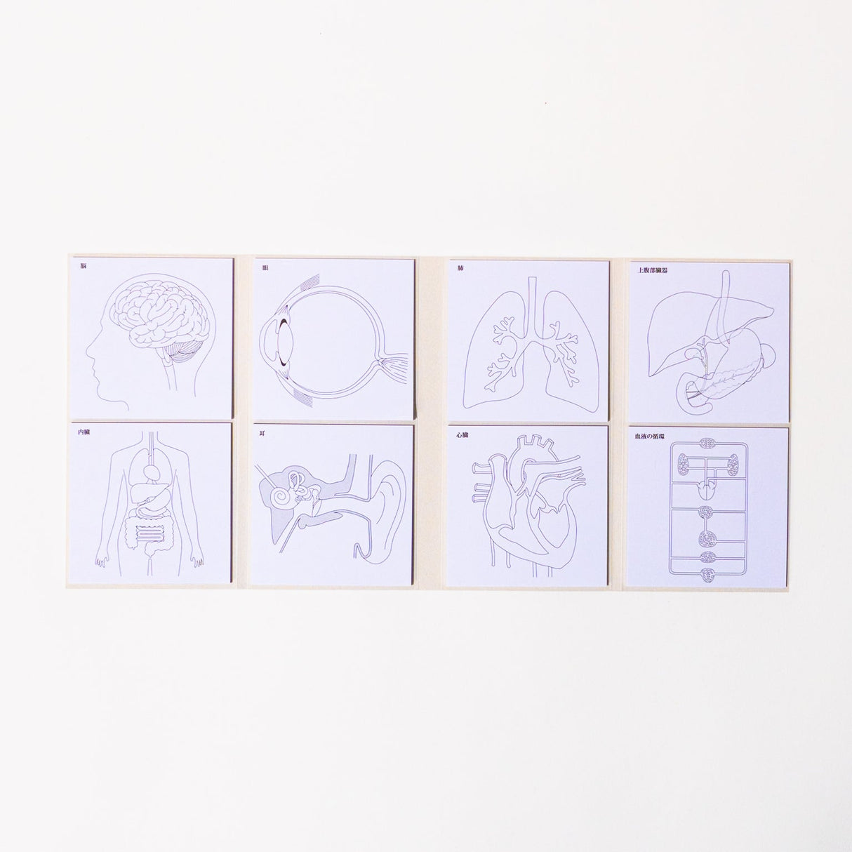 Study Tips Sticky Notes 8 Designs 20 Sheets / shikisaisai - bungu