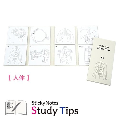 Study Tips Sticky Notes 8 Designs 20 Sheets / shikisaisai - bungu