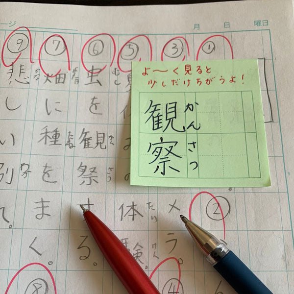 +teacher Sticky Notes / +teacher - bungu