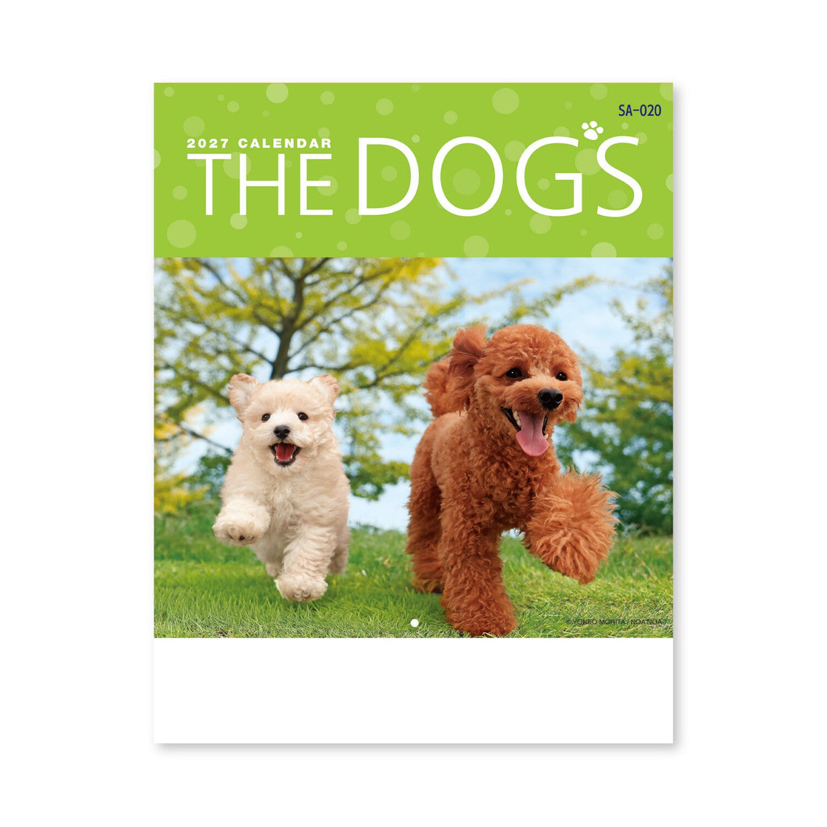 The Dog’s and Cat’s Wall Calendar 2027 / Shin Nihon Calendar - bungu