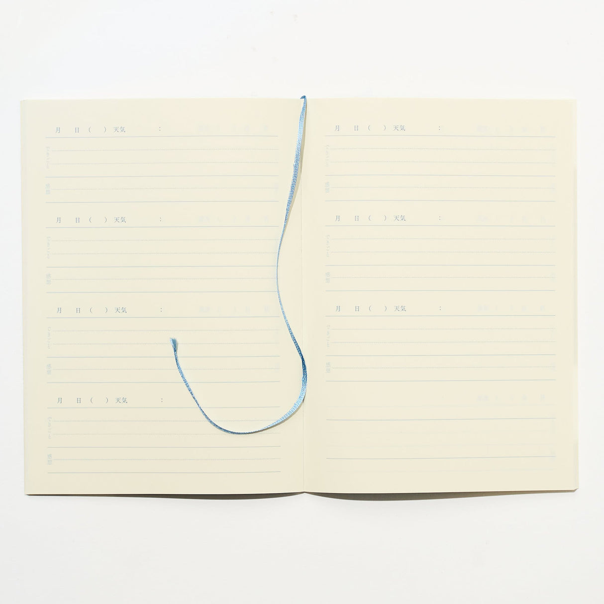 Time Choice Diary / Midori DESIGNPHIL - bungu