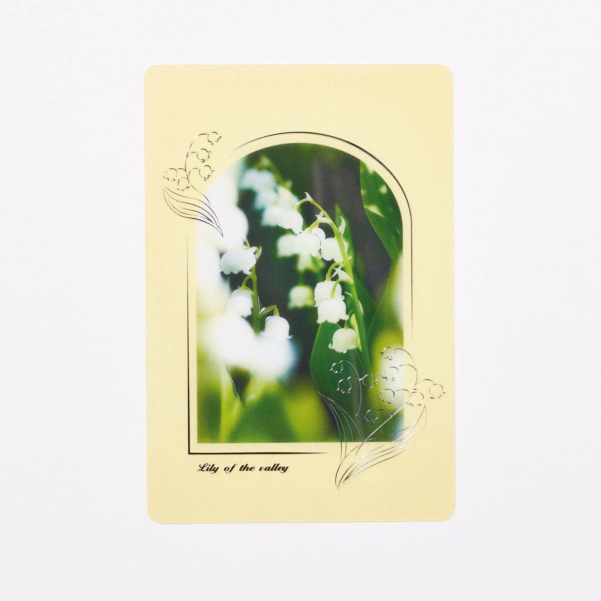 Transparent Card / RYU - RYU - bungu