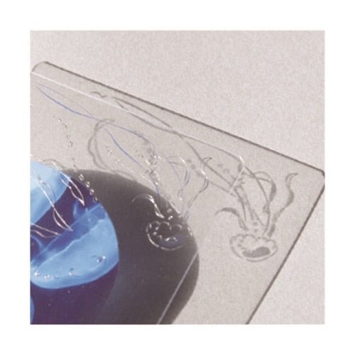 Transparent Card / RYU - RYU - bungu