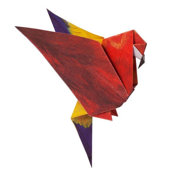 Tropical Bird Origami Sets / Marumo Printing Stationery - bungu