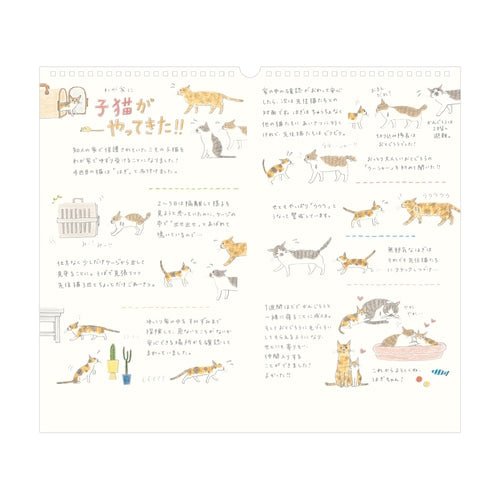 Wall Calendars 2026 / MIDORI - bungu