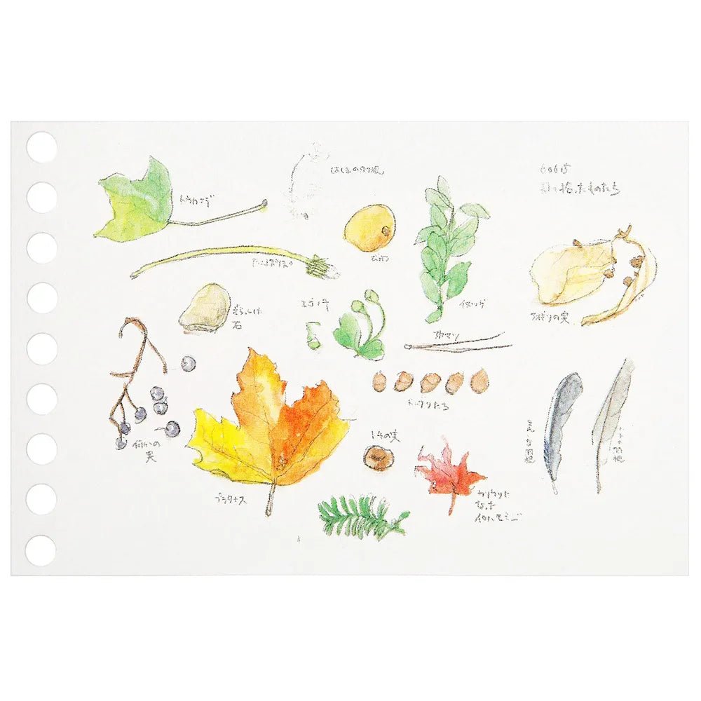 Write - Easy Creative Mini Loose Leaf / maruman - bungu