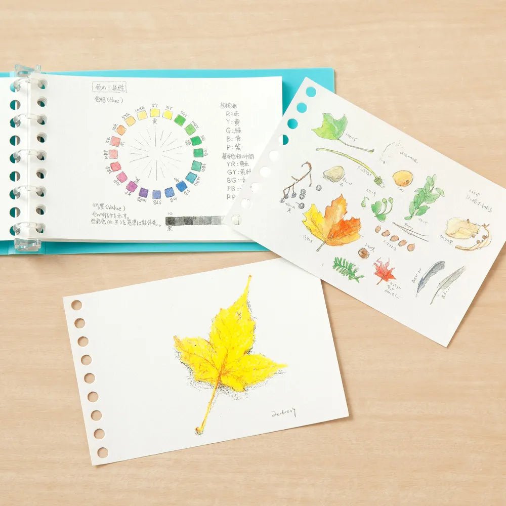 Write - Easy Creative Mini Loose Leaf / maruman - bungu