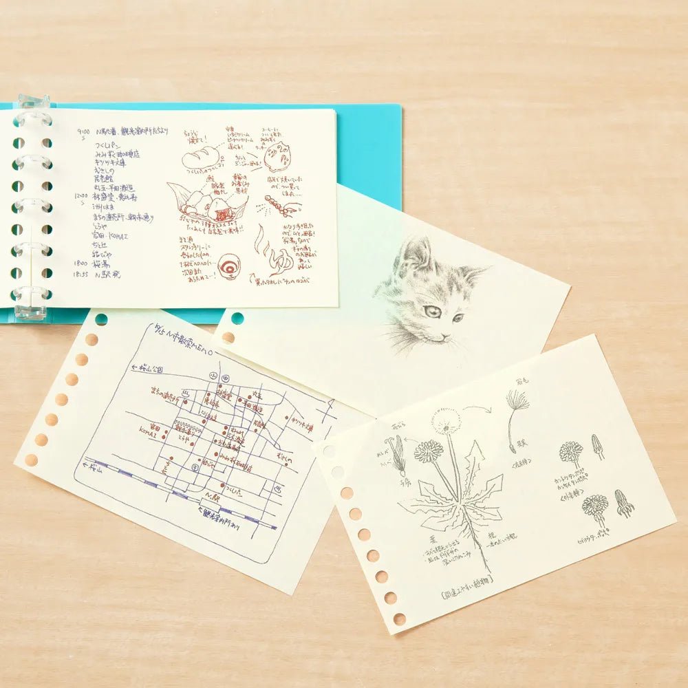 Write - Easy Creative Mini Loose Leaf / maruman - bungu