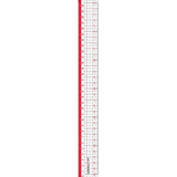Nano Pita Reversible Ruler Set / Sonic