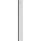Nano Pita Reversible Ruler Set / Sonic