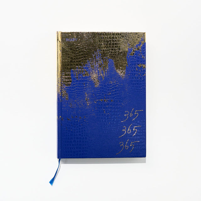 365 365 365 3 Years Diary / ICHIKUDO - bungu