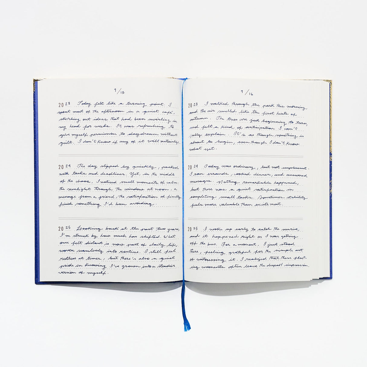 365 365 365 3 Years Diary / ICHIKUDO - bungu