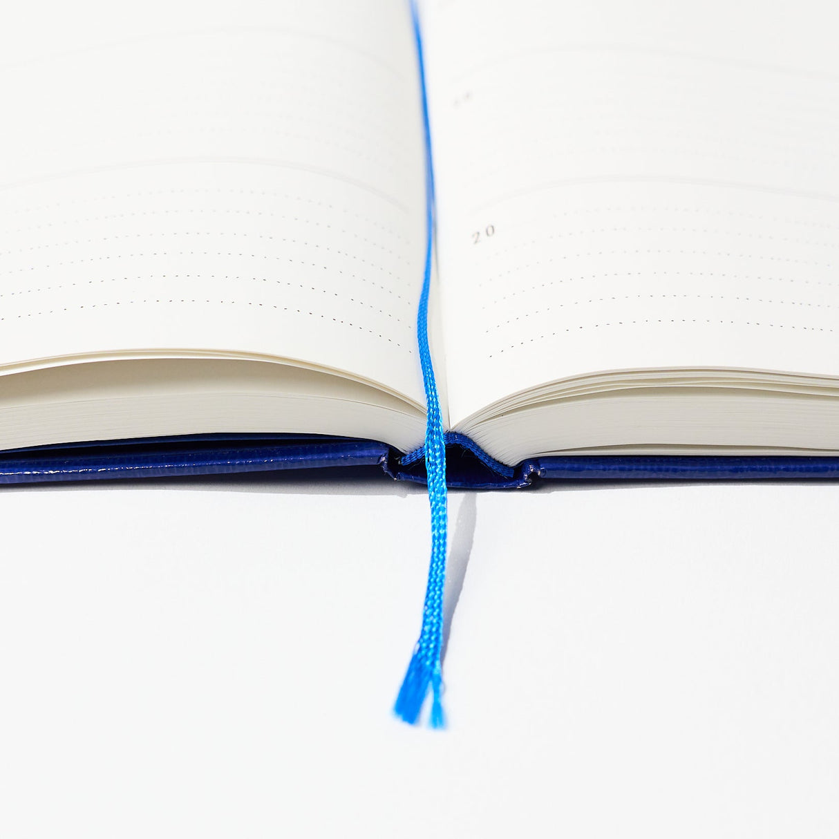 365 365 365 3 Years Diary / ICHIKUDO - bungu