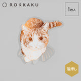 365Cat.Art Collection Foil Sticker / ROKKAKU - bungu