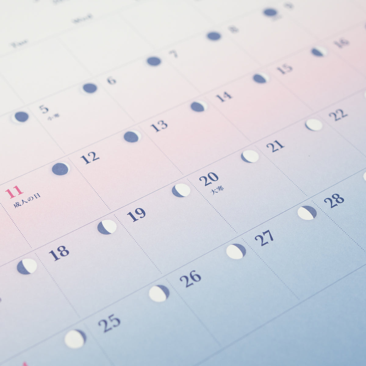 Daylight Gradient Wall Calendar 2027 / MIDORI