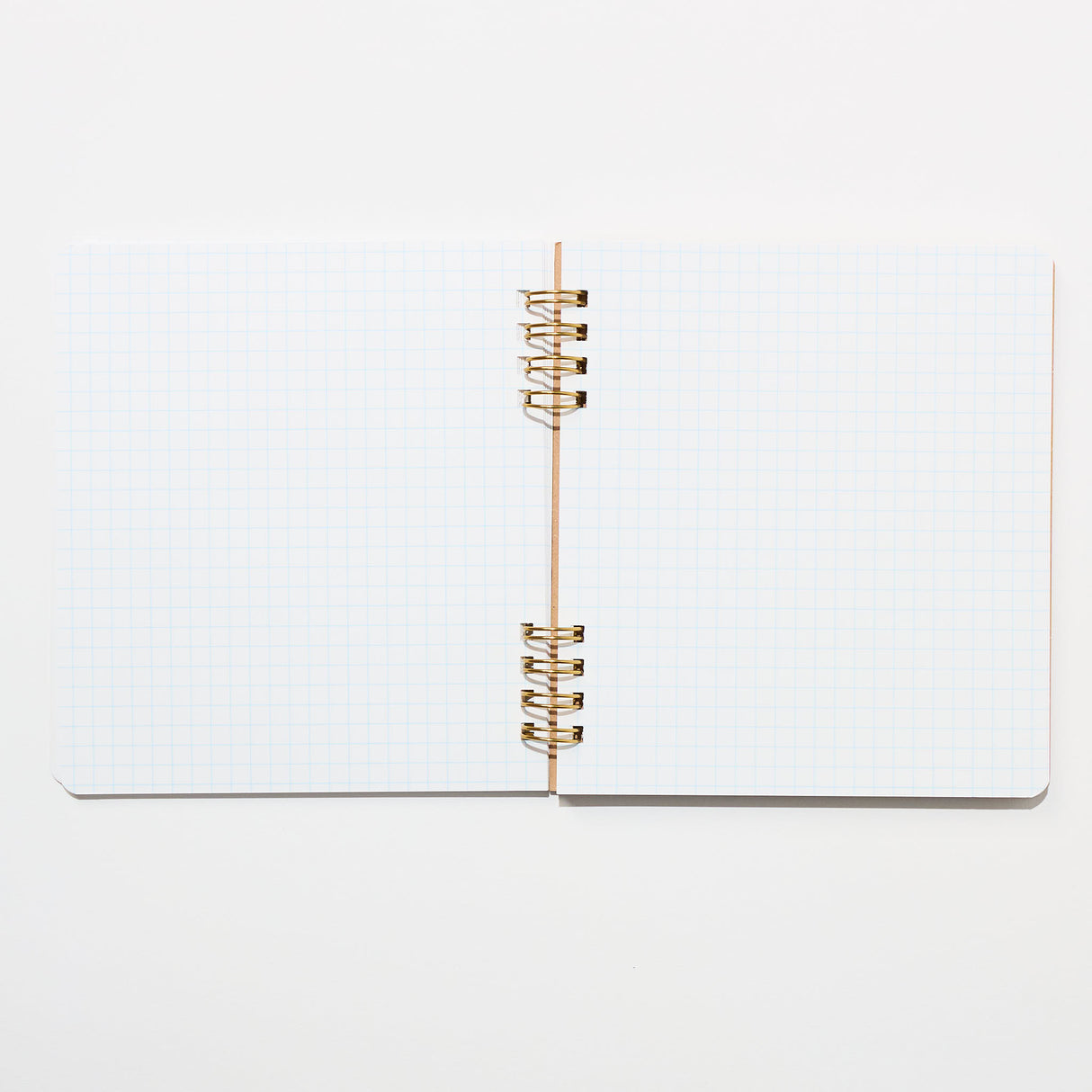 STUDY HOLIC Ring Notebook Square / GreenFlash