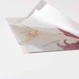 STUDY HOLIC A5 Pocket Clear File Folder / GreenFlash