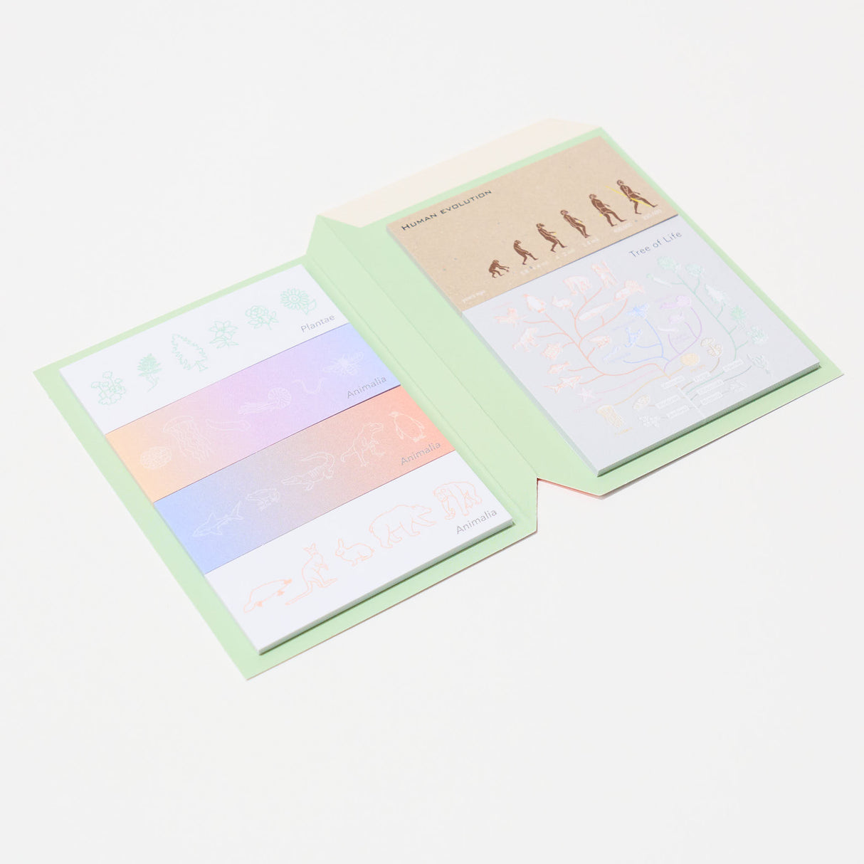 STUDY HOLIC Sticky Note Book / GreenFlash